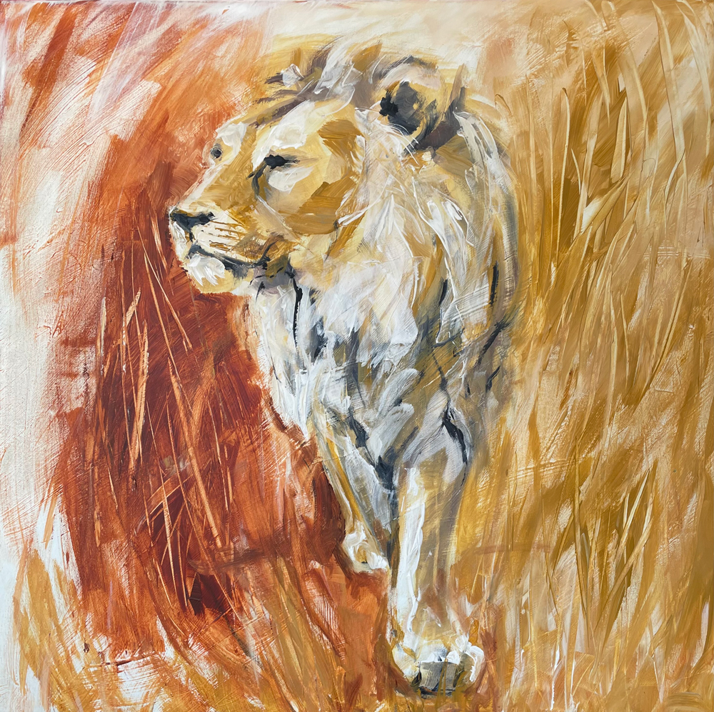 Schilderij leeuw Wishu, Diergaarde Blijdorp