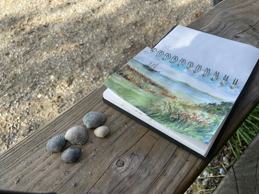 Groene strand Terschelling