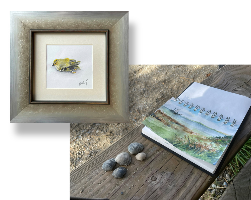 aquarellen van Anita Gaasbeek. Goudhaantje en